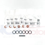 Audi A4 B8 & B9 Injectors Washer & Seal Kit 059130519B WHT000884 WHT007480 oem